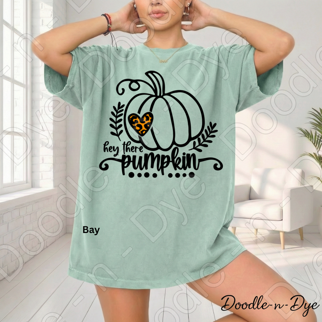 Hey There Pumpkin Shirt, Cute Fall Pumpkin Tee, Comfort Colors Autumn Shirt, Farmhouse Fall Tee, Cozy Pumpkin Graphic Tee