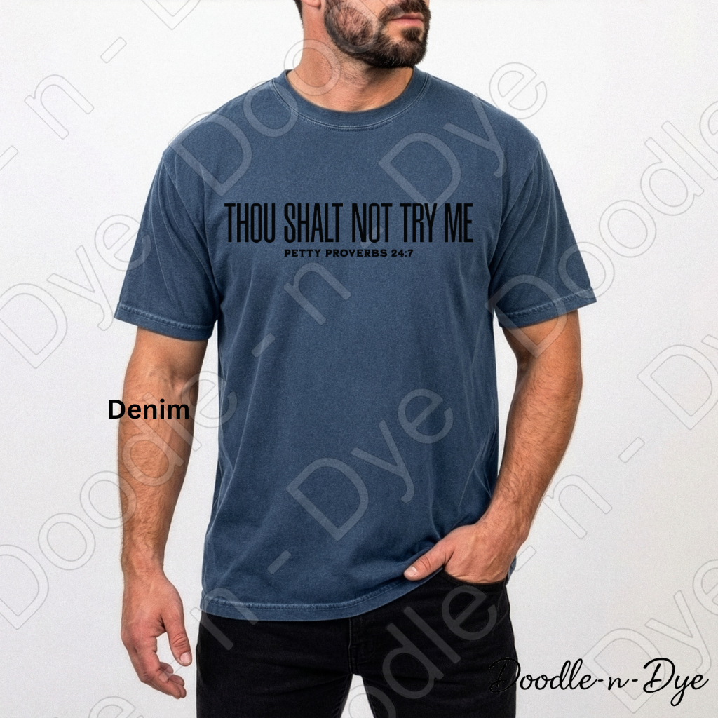 Stay in Thy Lane Shirt – Petty Proverbs Christian Humor Comfort Colors Tee - Mother's Day Gift- Father's Day Gift