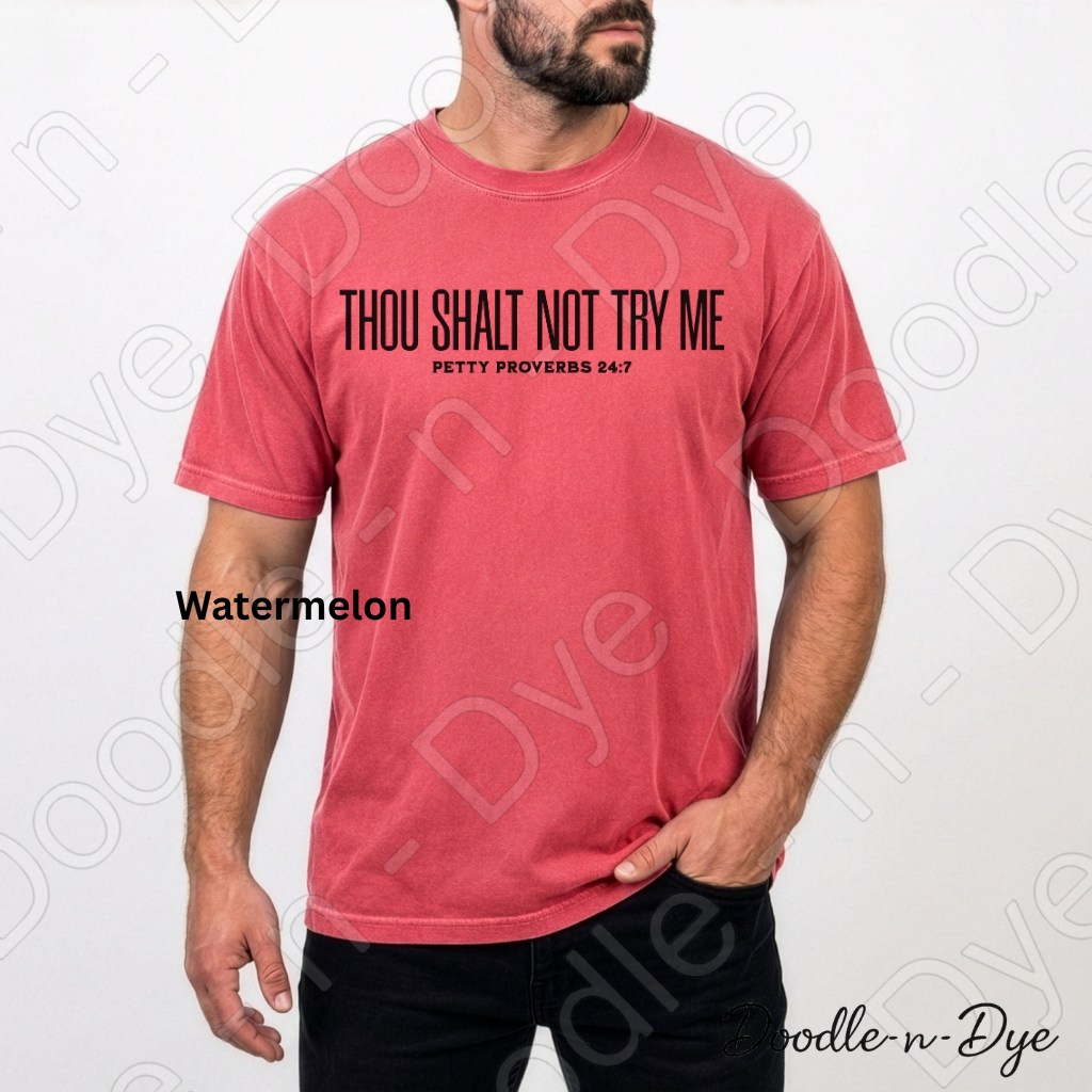 Petty Proverbs Shirt – Thou Shalt Not Try Me Comfort Colors Tee - Christian Humor T-Shirt