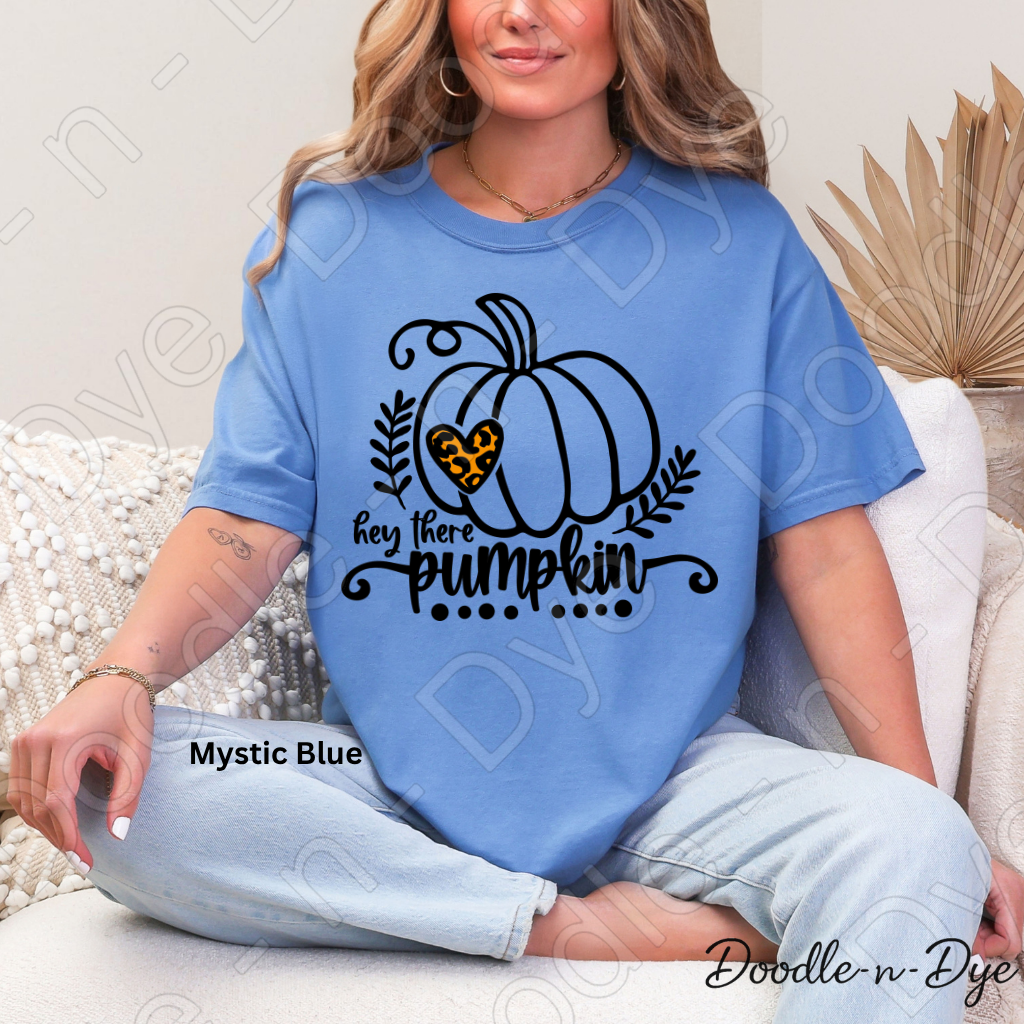 Hey There Pumpkin Shirt, Cute Fall Pumpkin Tee, Comfort Colors Autumn Shirt, Farmhouse Fall Tee, Cozy Pumpkin Graphic Tee