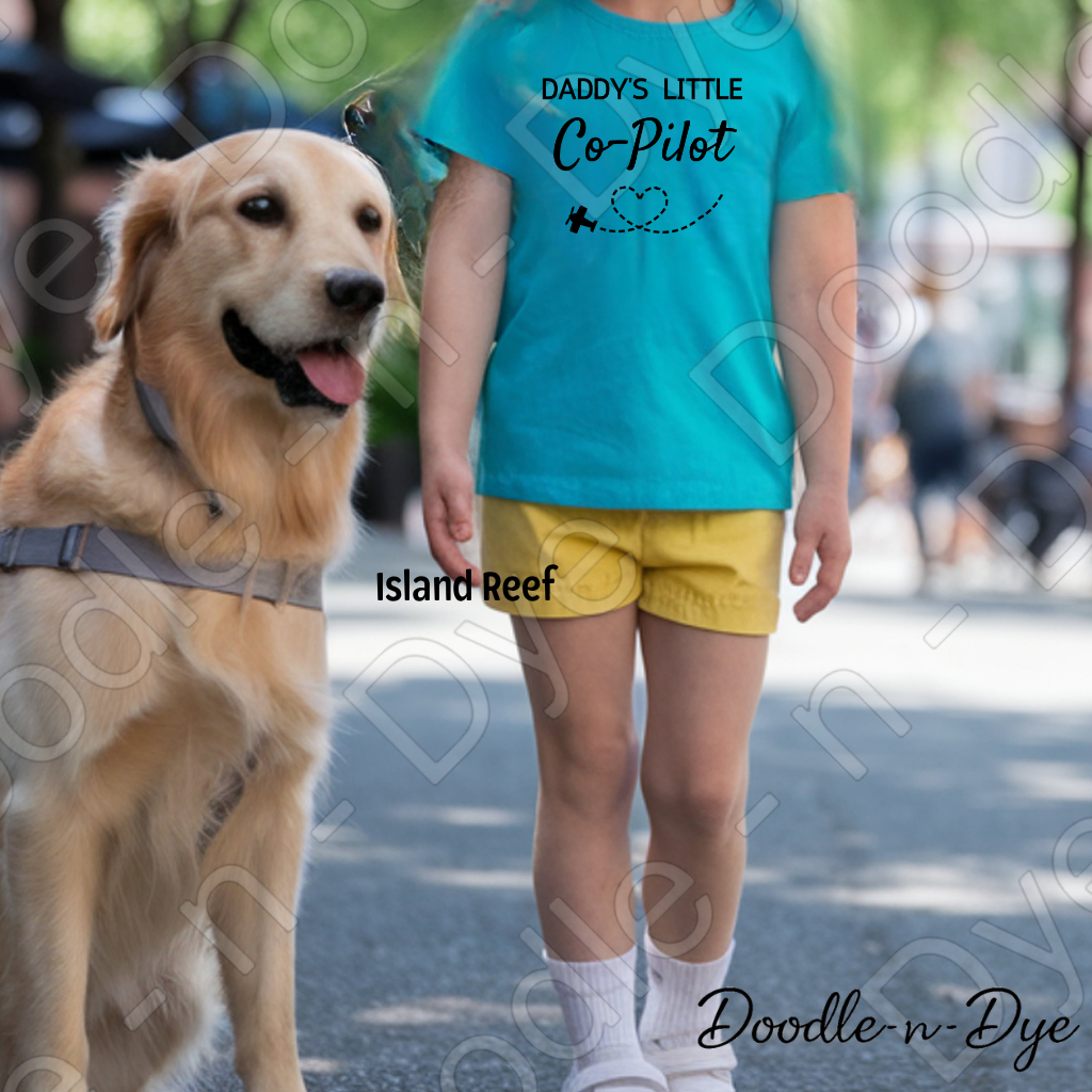Youth Daddy's Little Co-Pilot Comfort Colors Tee, Father's Day Kids Shirt, Happy Father's Day Shirt, Daddy's Co Pilot Tee
