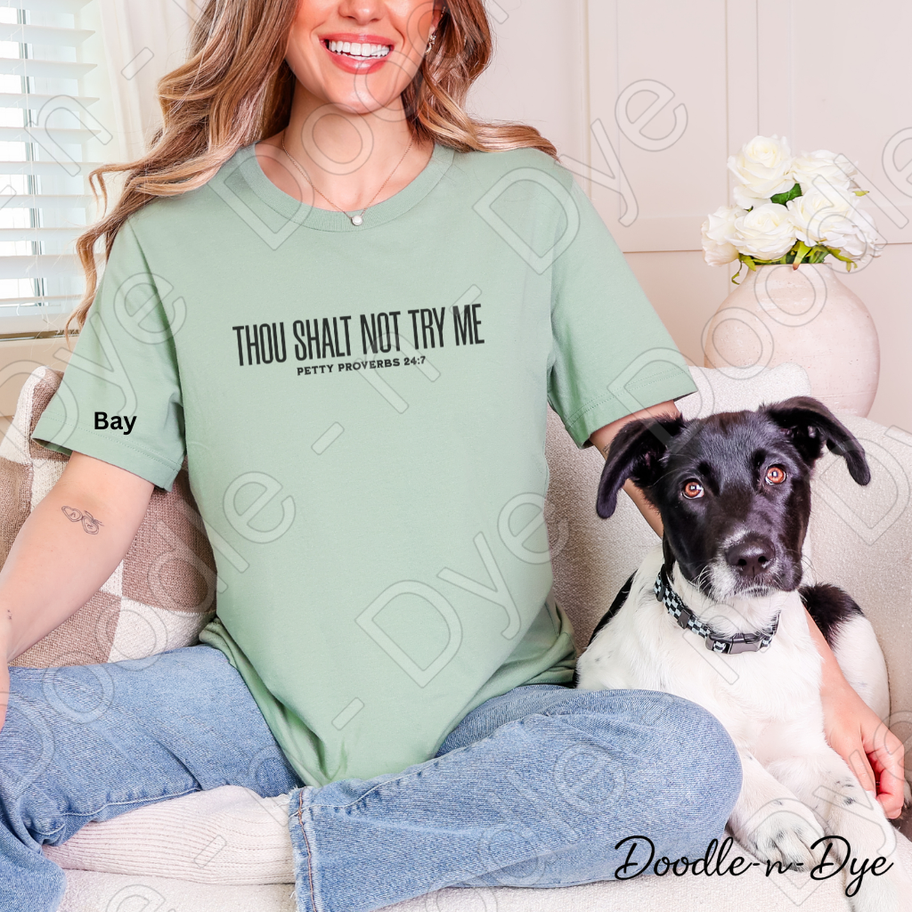 Petty Proverbs Shirt – Thou Shalt Not Try Me Comfort Colors Tee - Christian Humor T-Shirt