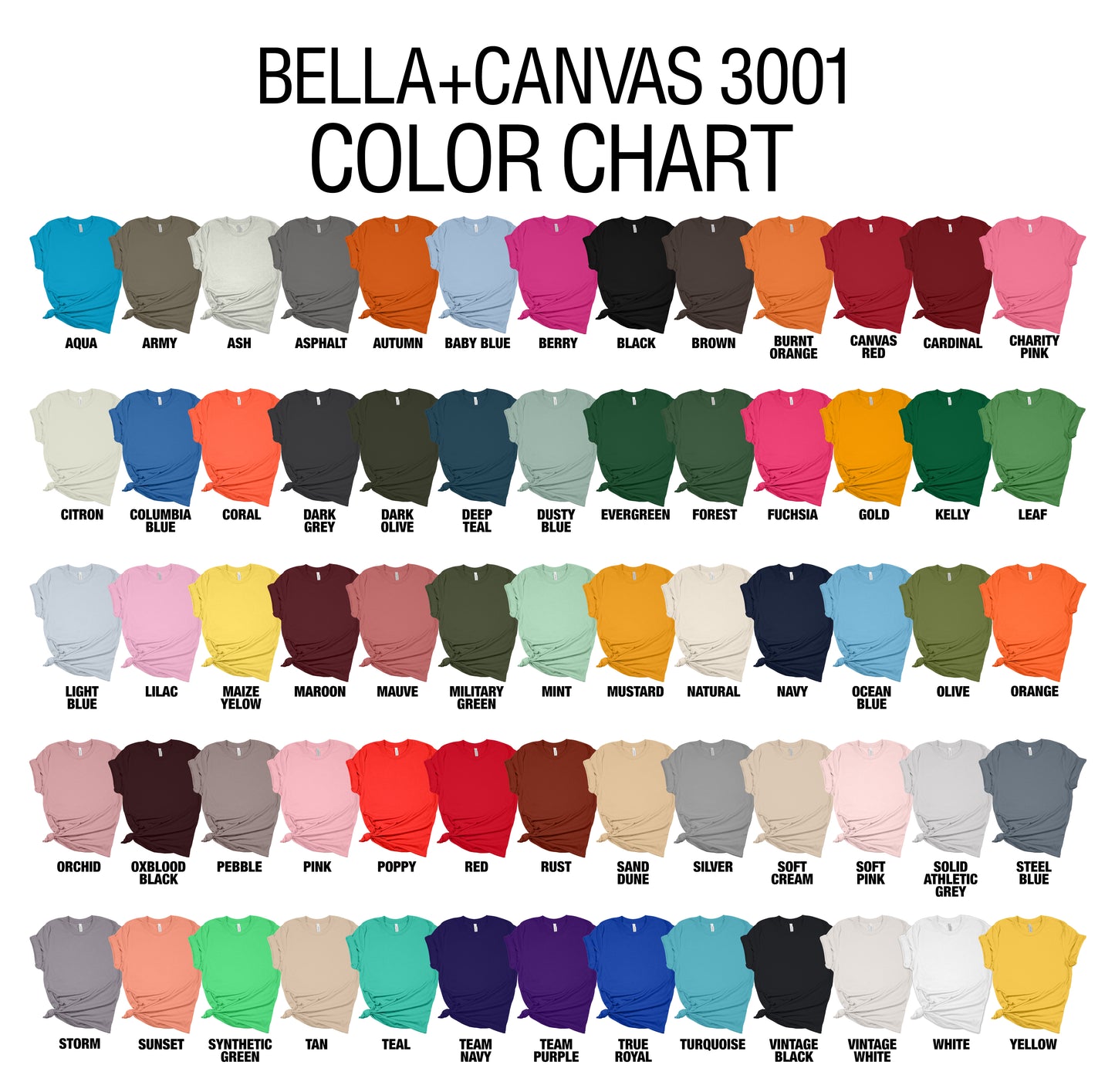 Sixth Grade Teacher Bella & Canvas Tee, Back to School Teacher & Student Tee, Meet‑the‑Teacher & Classroom Photos, Beginning of School Fifth Grade Teacher Shirt, Grade Level Gift for Teacher